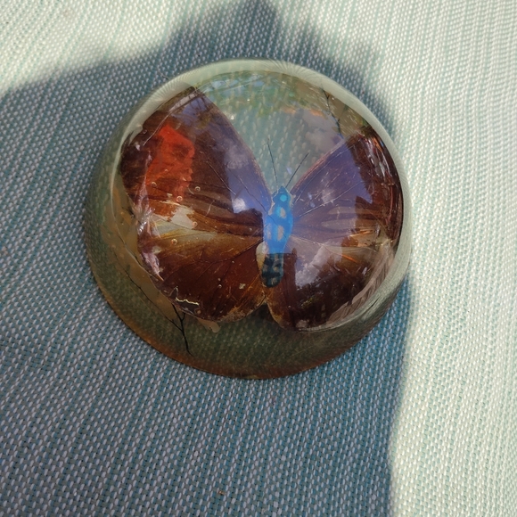 Vintage butterfly paperweight - Picture 1 of 3